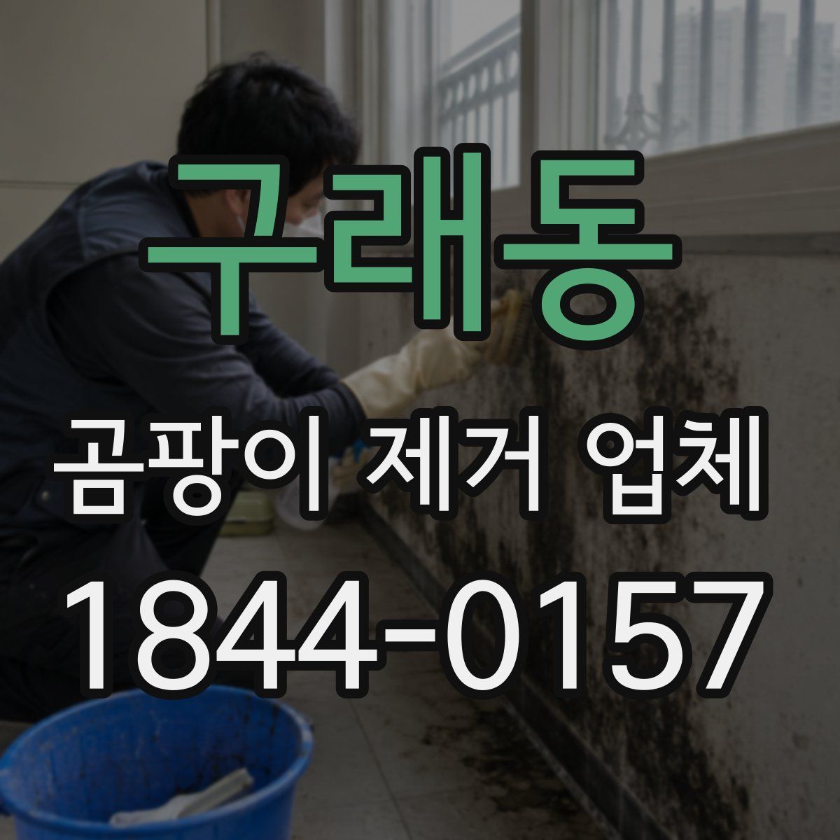구래동 곰팡이 제거 업체