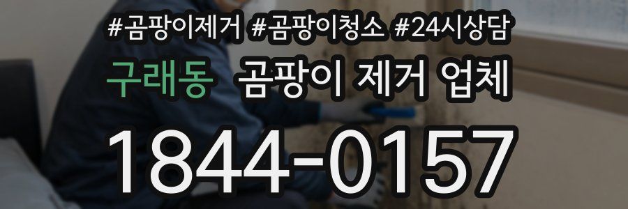 구래동 곰팡이 제거 업체