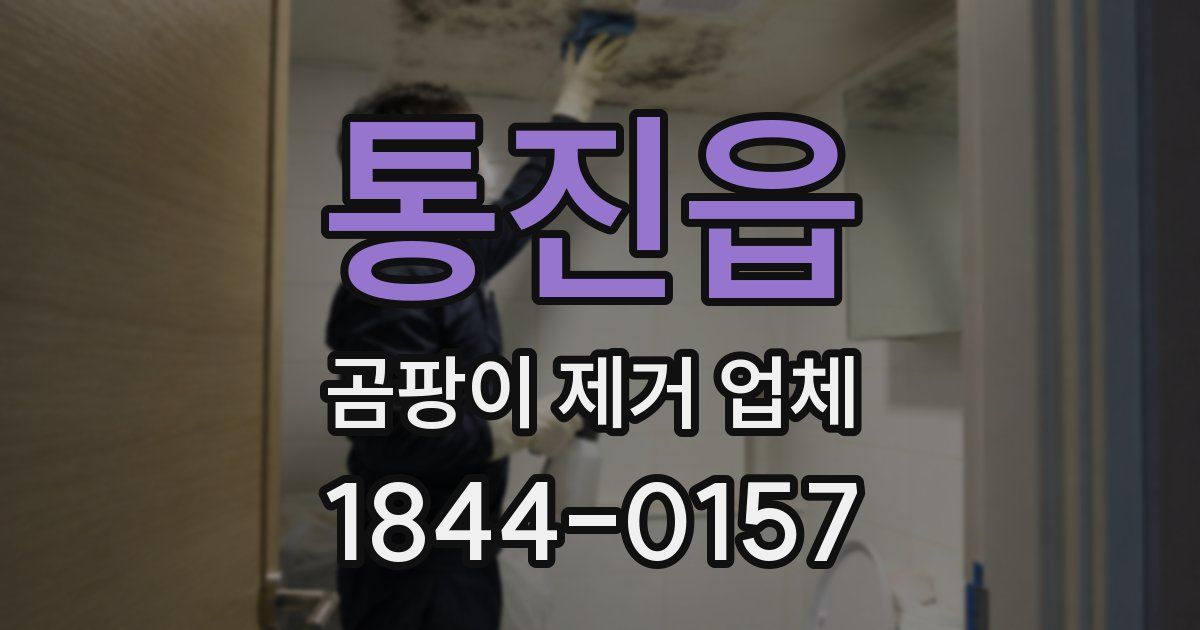 통진읍 곰팡이 제거 업체