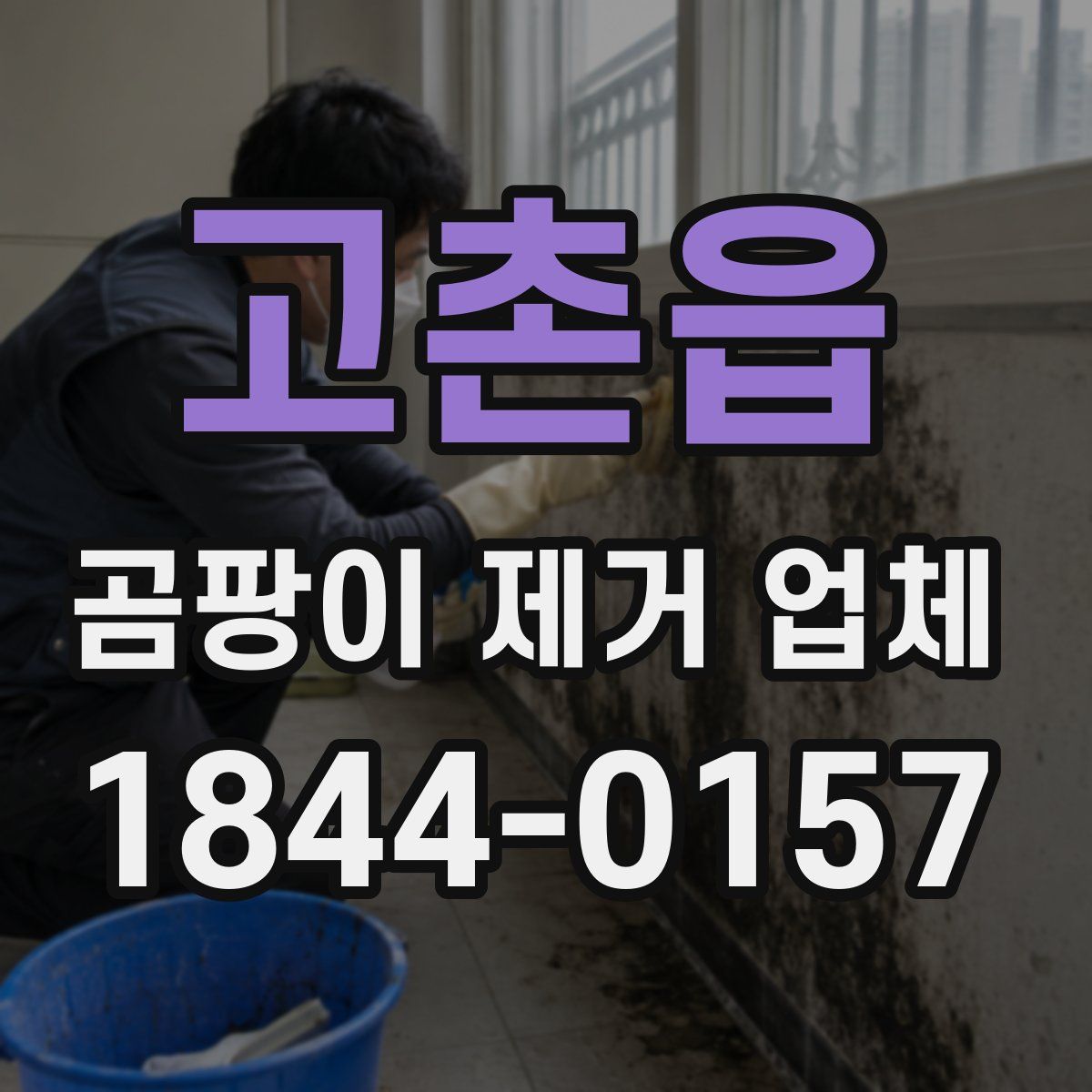 고촌읍 곰팡이 제거 업체