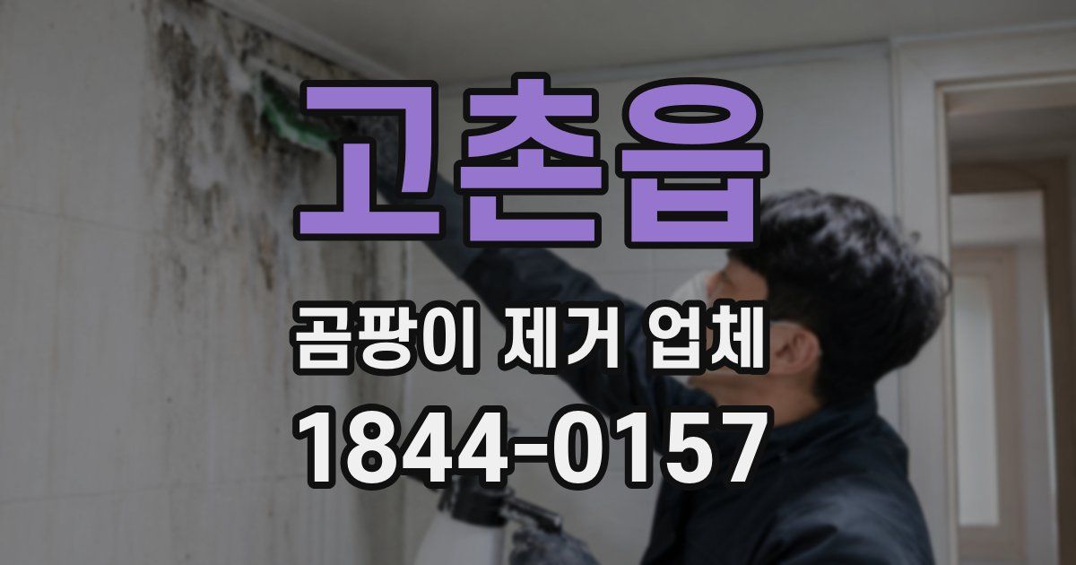 고촌읍 곰팡이 제거 업체