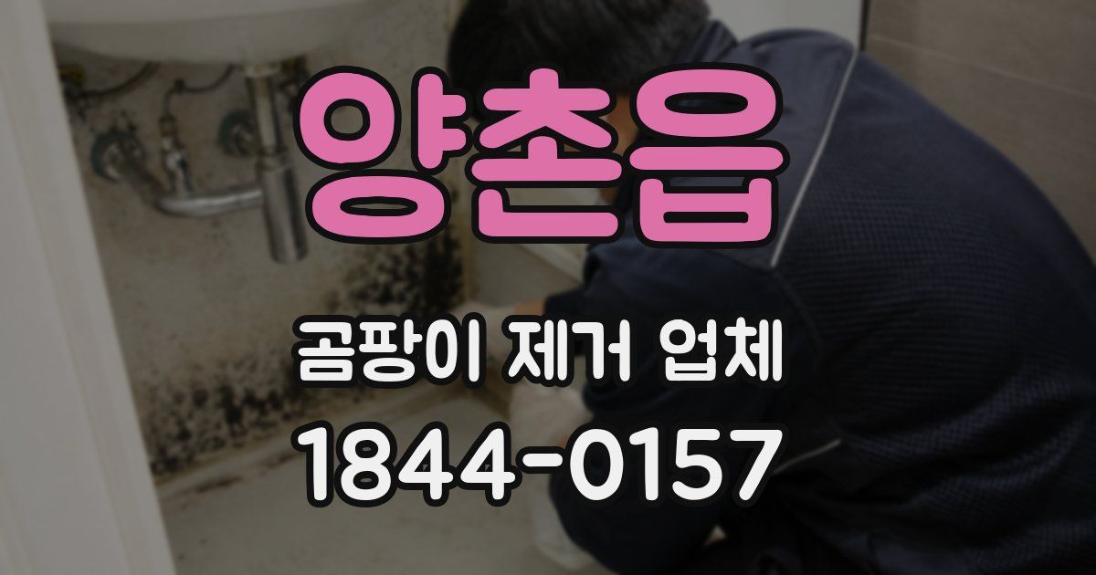양촌읍 곰팡이 제거 업체