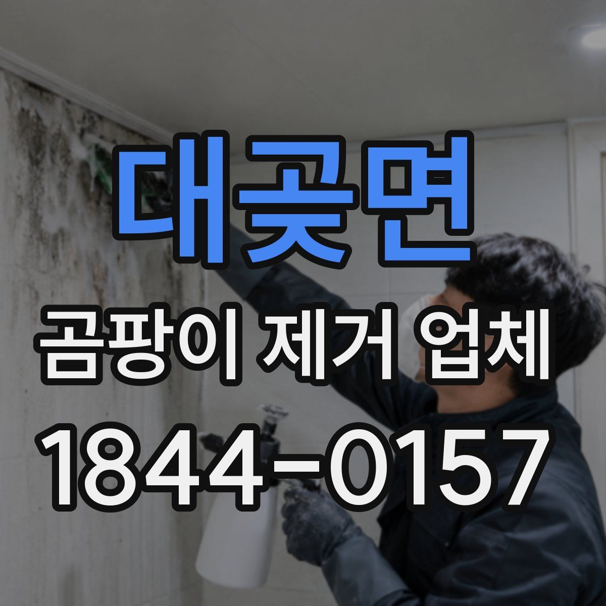 대곶면 곰팡이 제거 업체