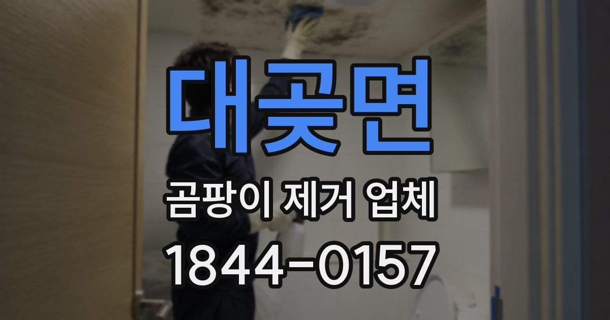 대곶면 곰팡이 제거 업체