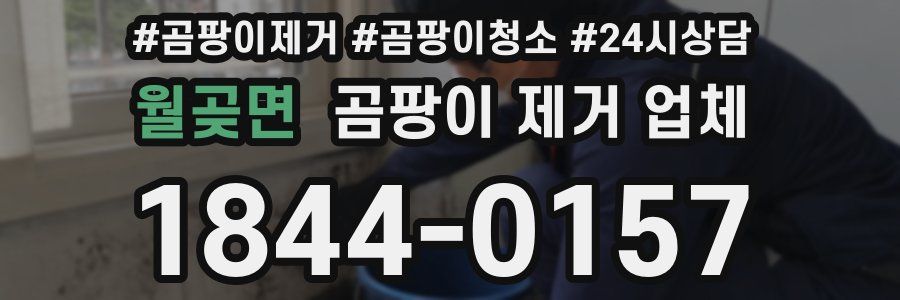 월곶면 곰팡이 제거 업체