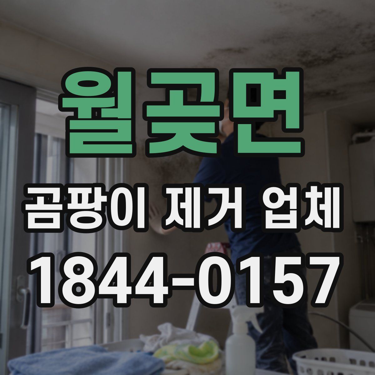 월곶면 곰팡이 제거 업체