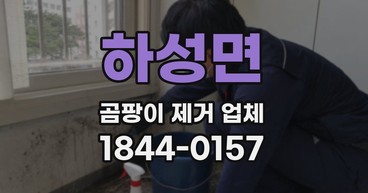 하성면 곰팡이 제거 업체