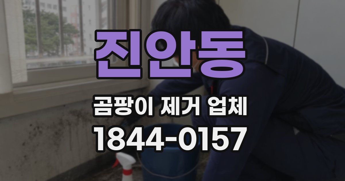 진안동 곰팡이 제거 업체