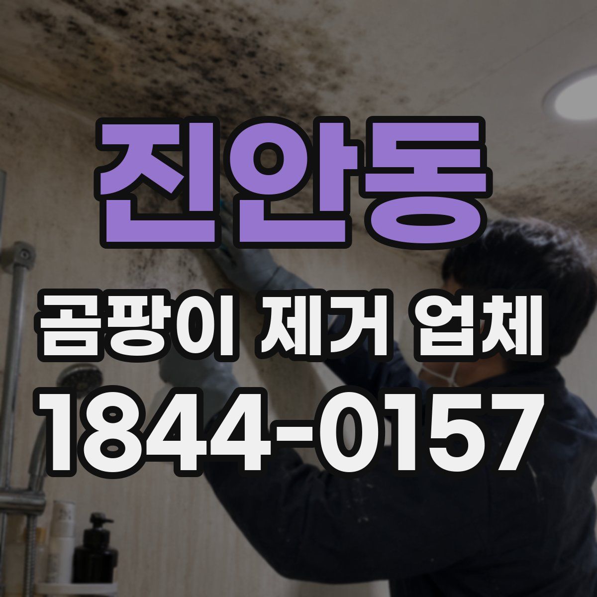 진안동 곰팡이 제거 업체