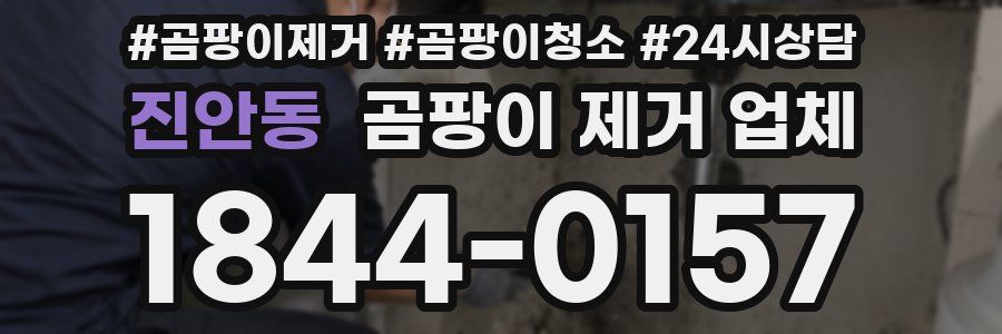 진안동 곰팡이 제거 업체