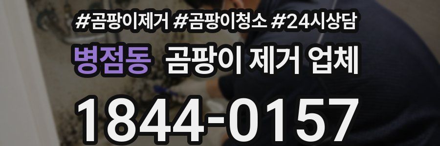 병점동 곰팡이 제거 업체