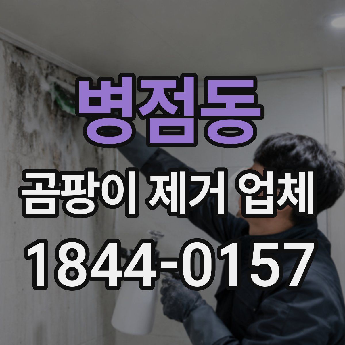병점동 곰팡이 제거 업체