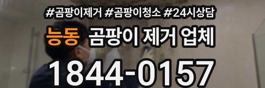 능동 곰팡이 제거 업체