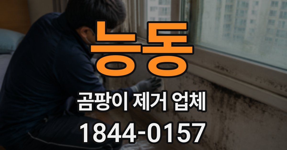 능동 곰팡이 제거 업체