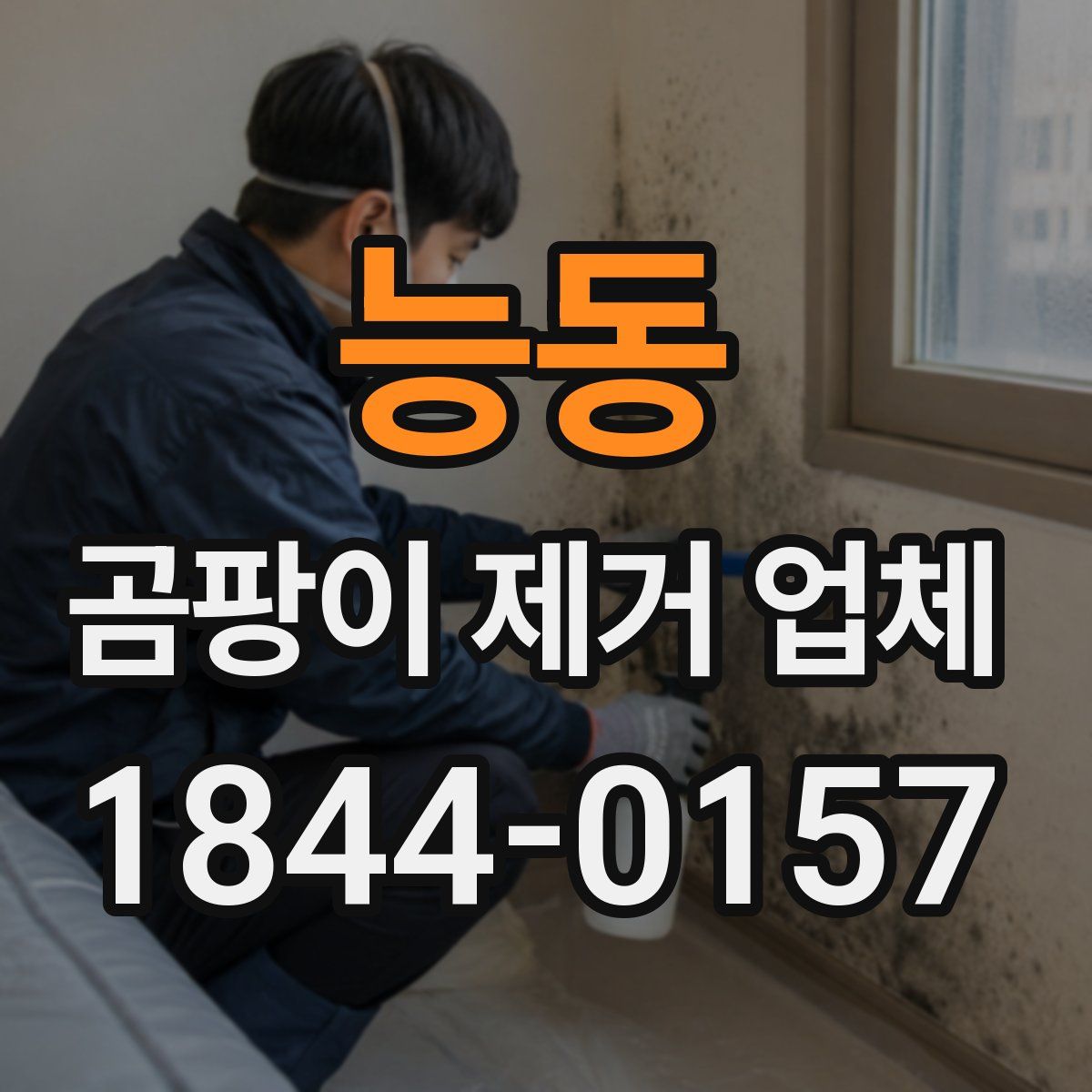 능동 곰팡이 제거 업체