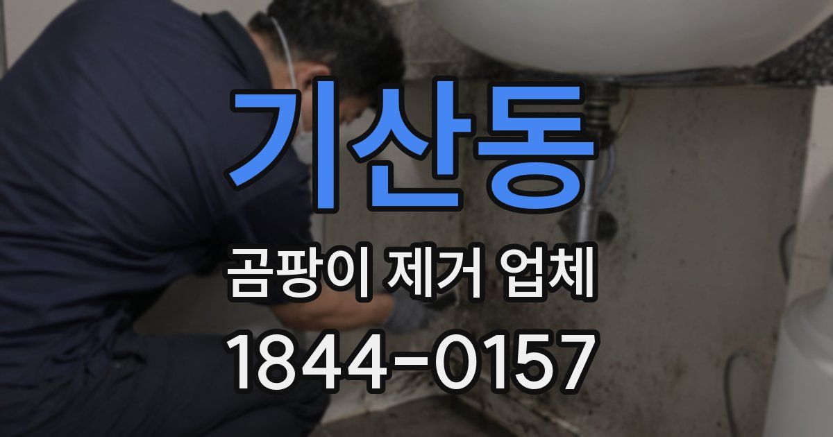 기산동 곰팡이 제거 업체