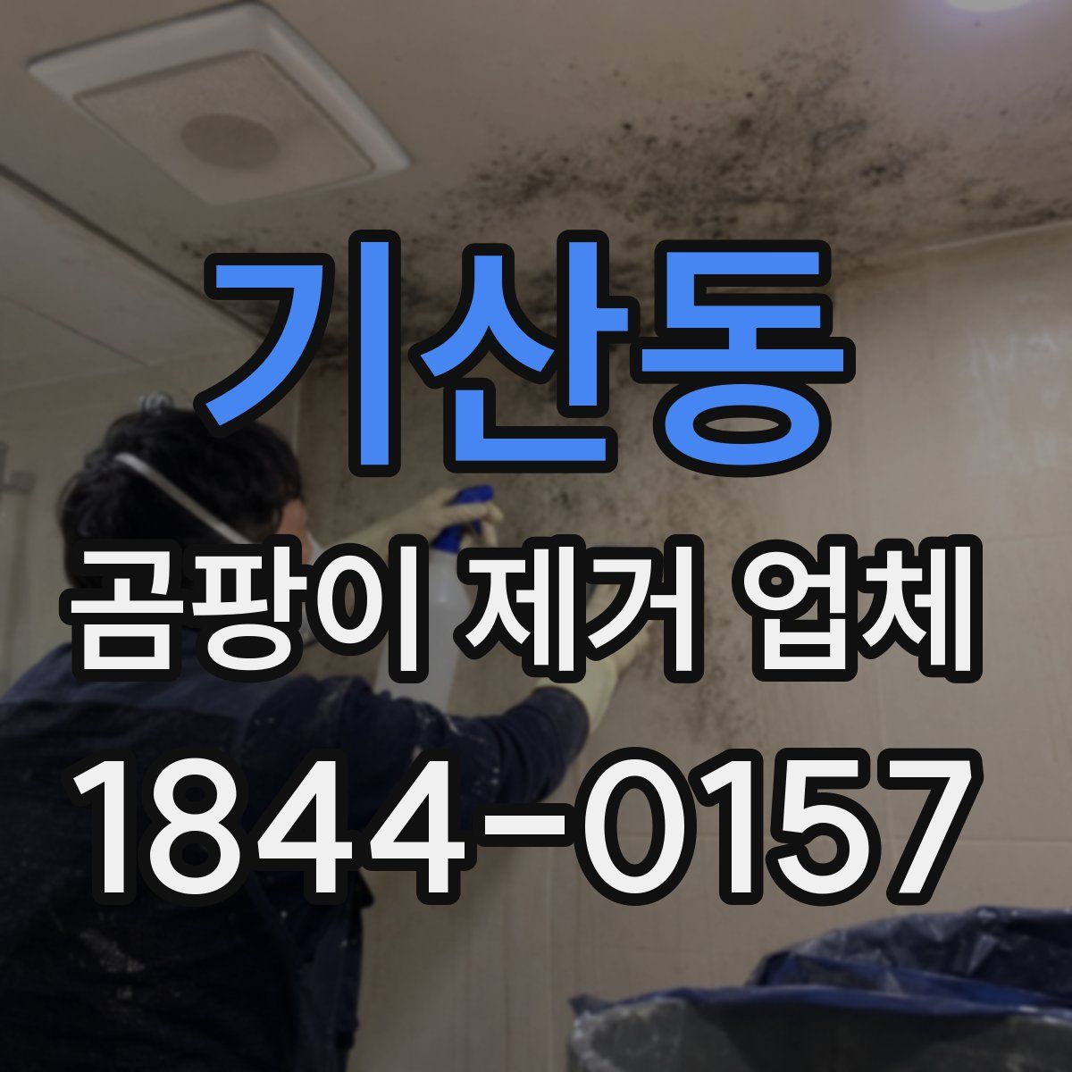 기산동 곰팡이 제거 업체
