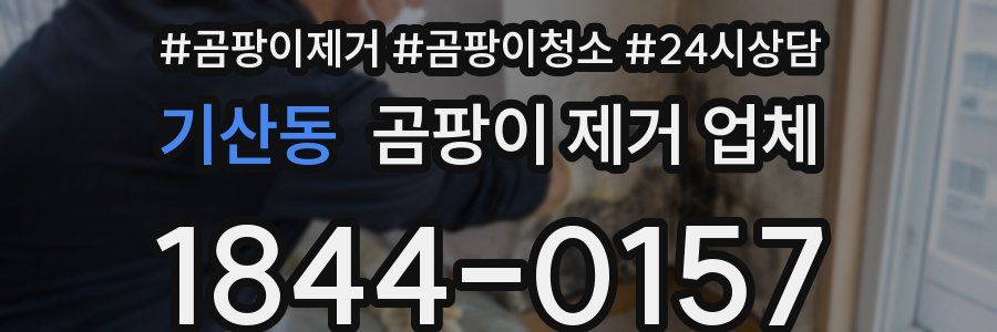 기산동 곰팡이 제거 업체