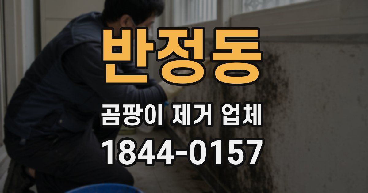 반정동 곰팡이 제거 업체