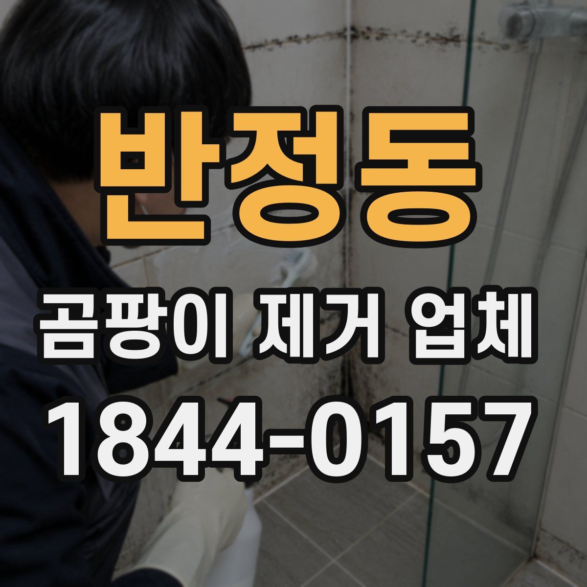 반정동 곰팡이 제거 업체