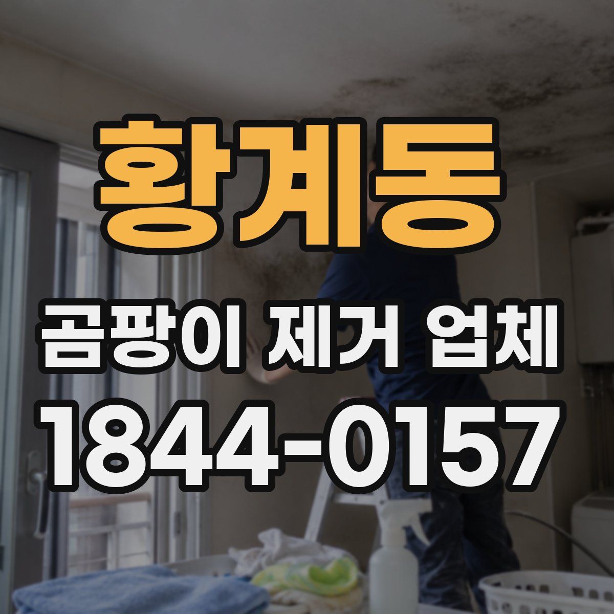 황계동 곰팡이 제거 업체