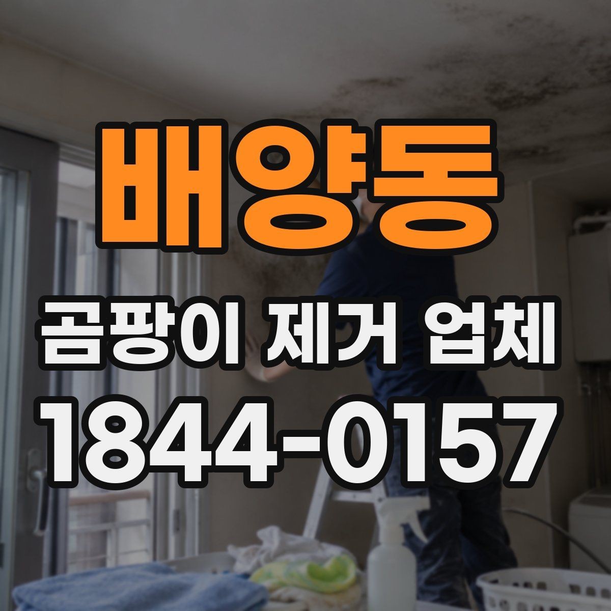 배양동 곰팡이 제거 업체 주거공간 재발 방지 점검이 필요한 구간 정리