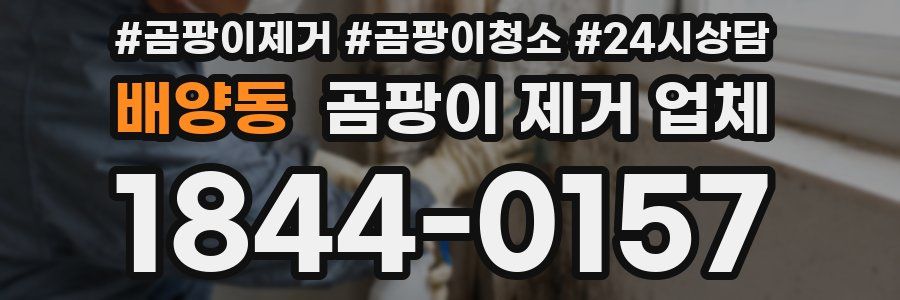배양동 곰팡이 제거 업체