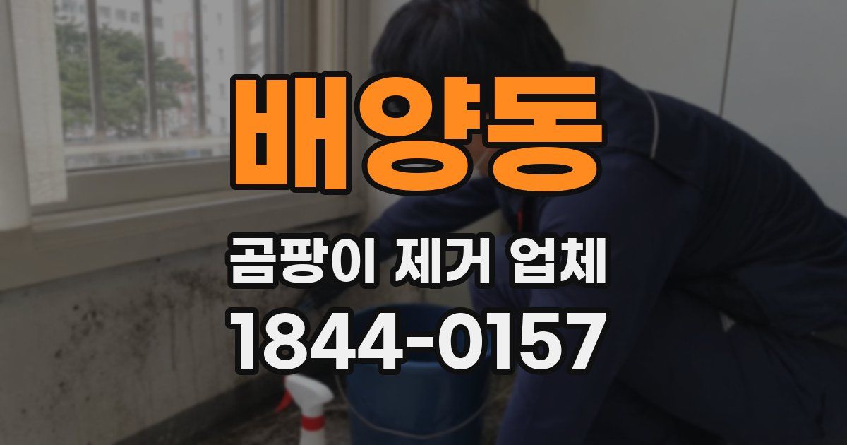 배양동 곰팡이 제거 업체