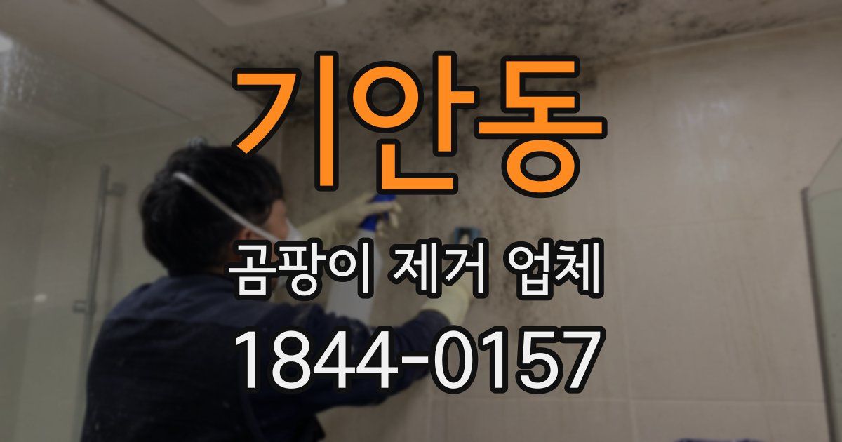 기안동 곰팡이 제거 업체
