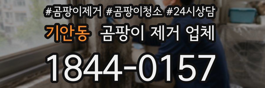 기안동 곰팡이 제거 업체