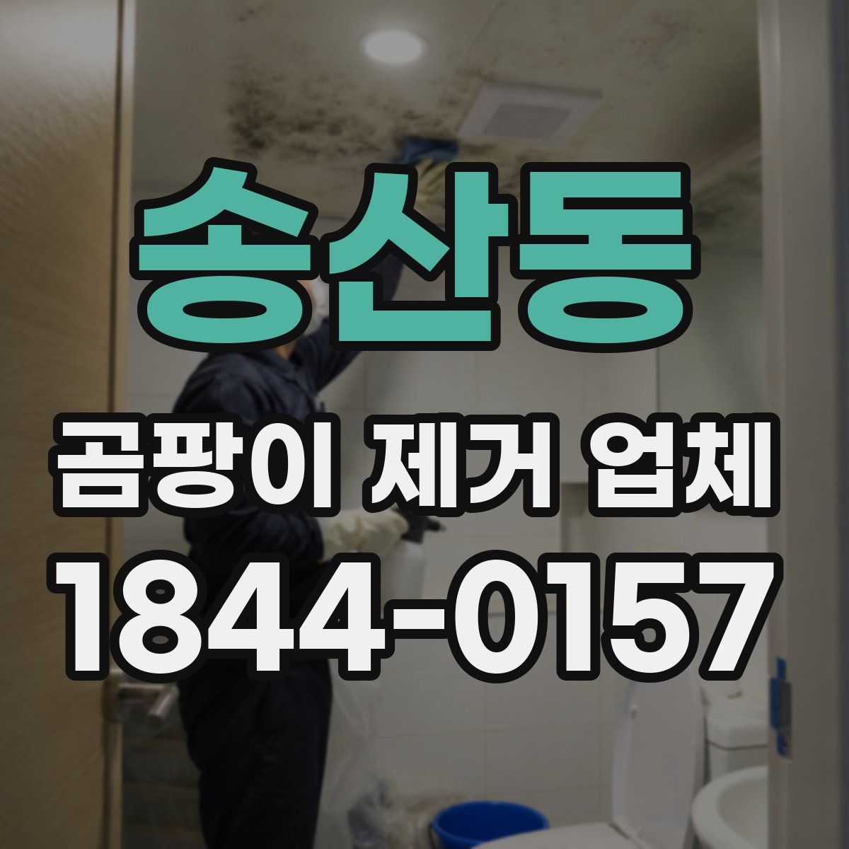 송산동 곰팡이 제거 업체