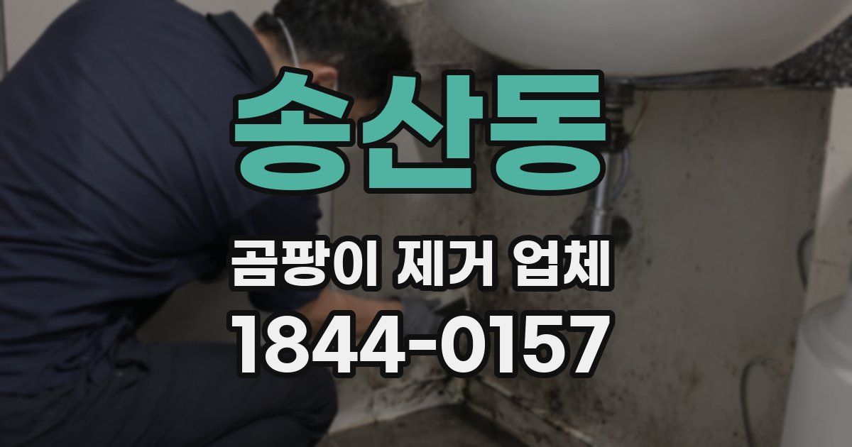 송산동 곰팡이 제거 업체