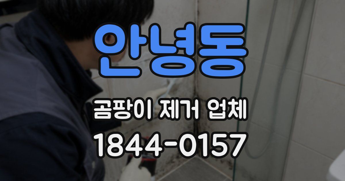 안녕동 곰팡이 제거 업체
