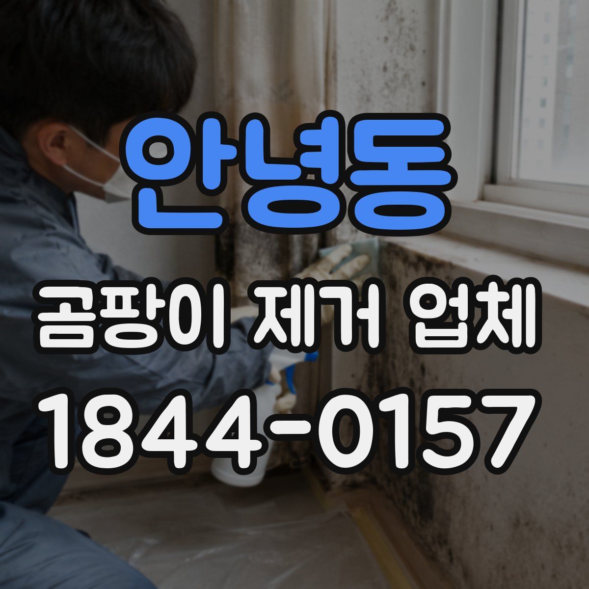 안녕동 곰팡이 제거 업체