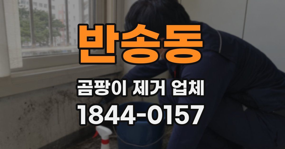 반송동 곰팡이 제거 업체