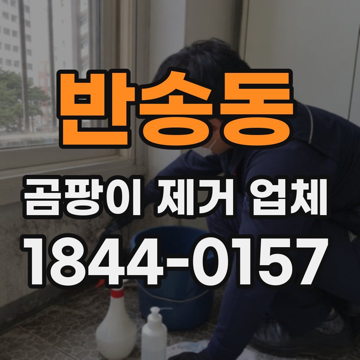 반송동 곰팡이 제거 업체