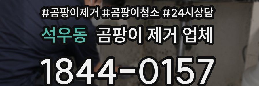 석우동 곰팡이 제거 업체