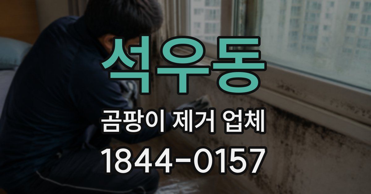 석우동 곰팡이 제거 업체