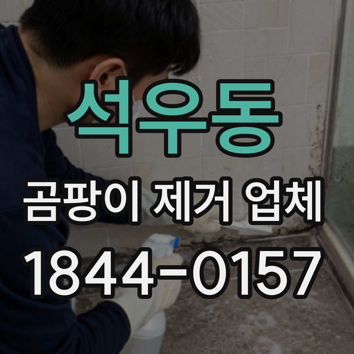 석우동 곰팡이 제거 업체