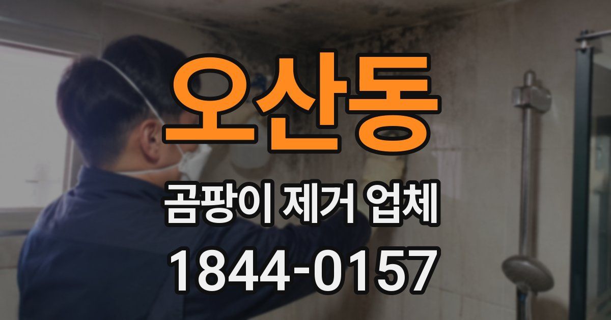 오산동 곰팡이 제거 업체