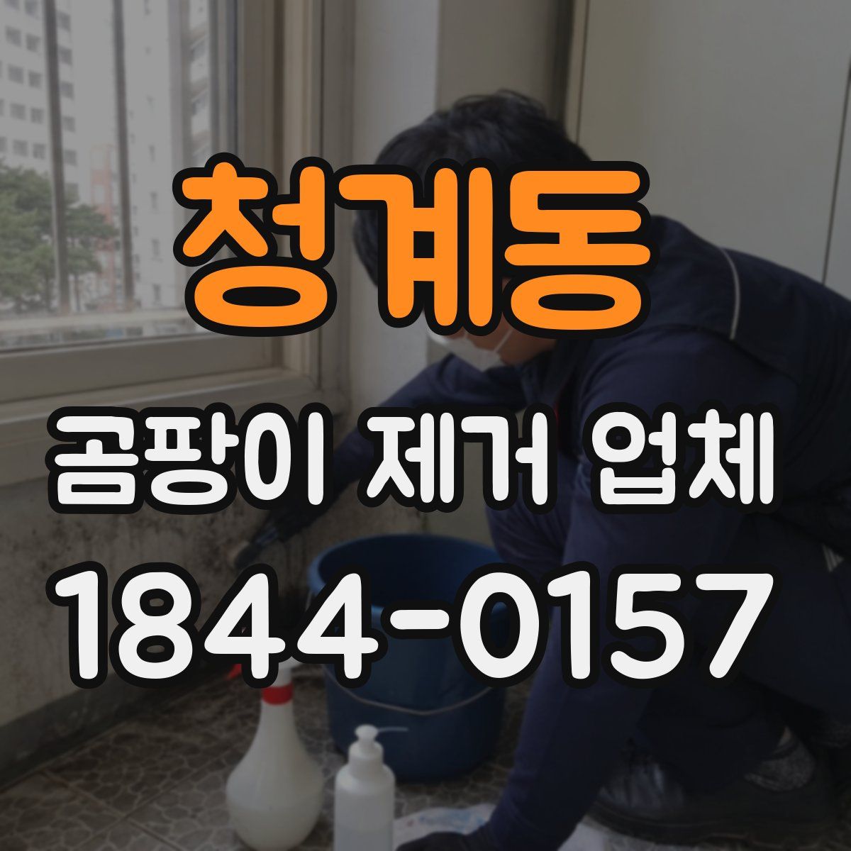 청계동 곰팡이 제거 업체