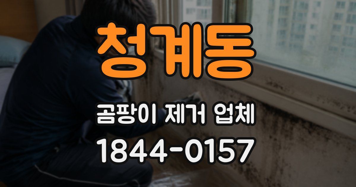 청계동 곰팡이 제거 업체