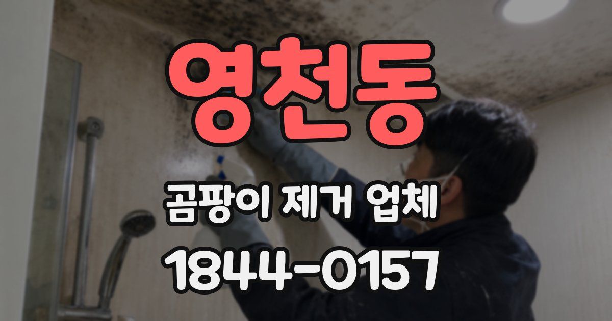 영천동 곰팡이 제거 업체