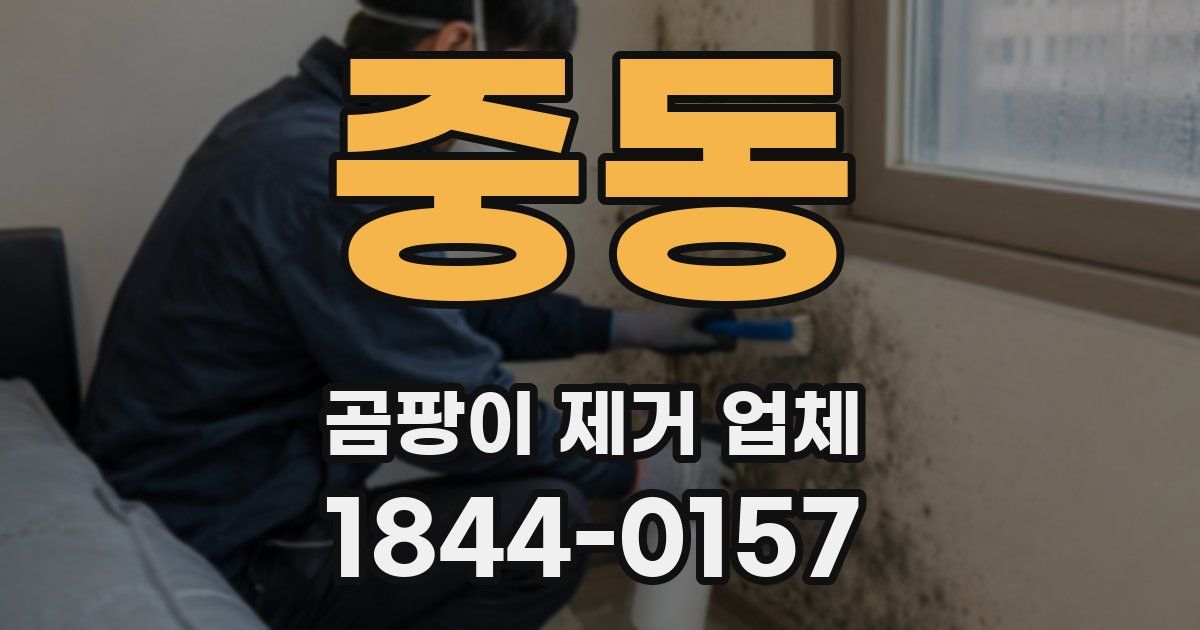 중동 곰팡이 제거 업체
