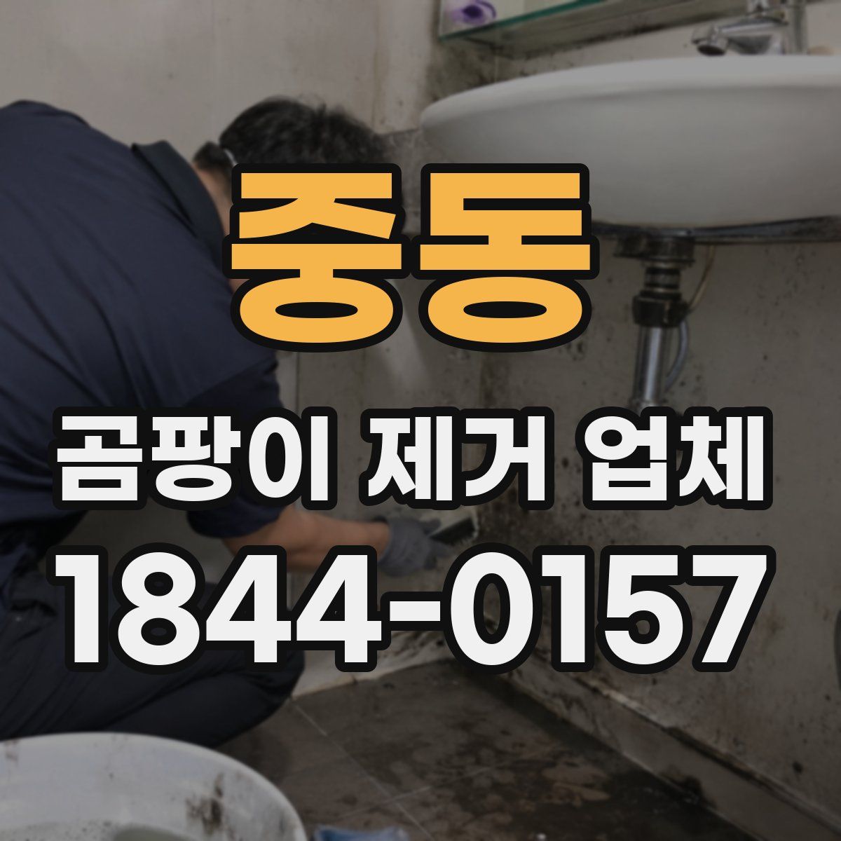 중동 곰팡이 제거 업체