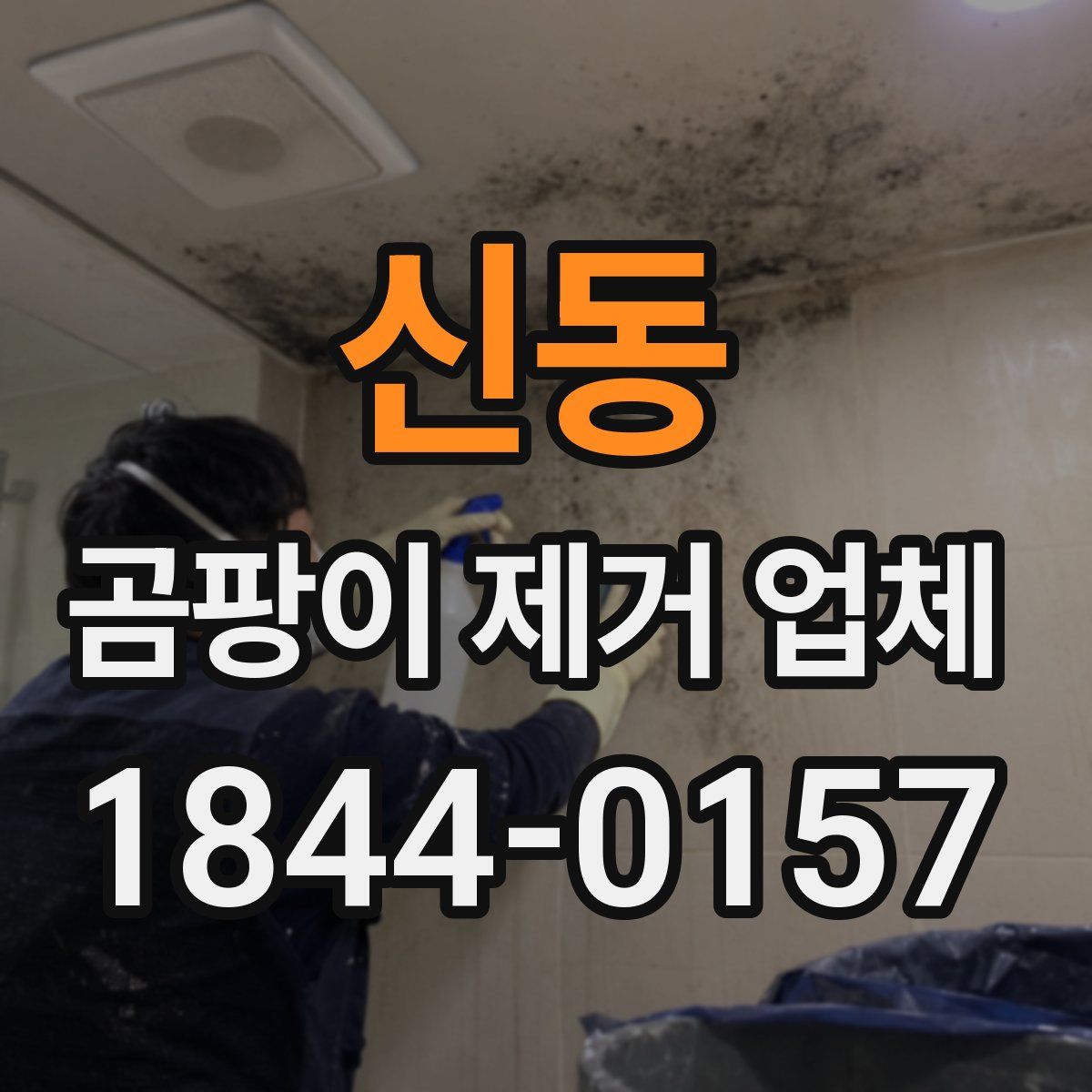 신동 곰팡이 제거 업체