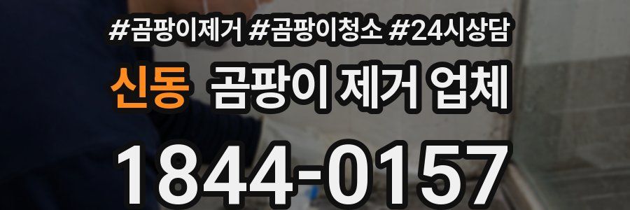 신동 곰팡이 제거 업체