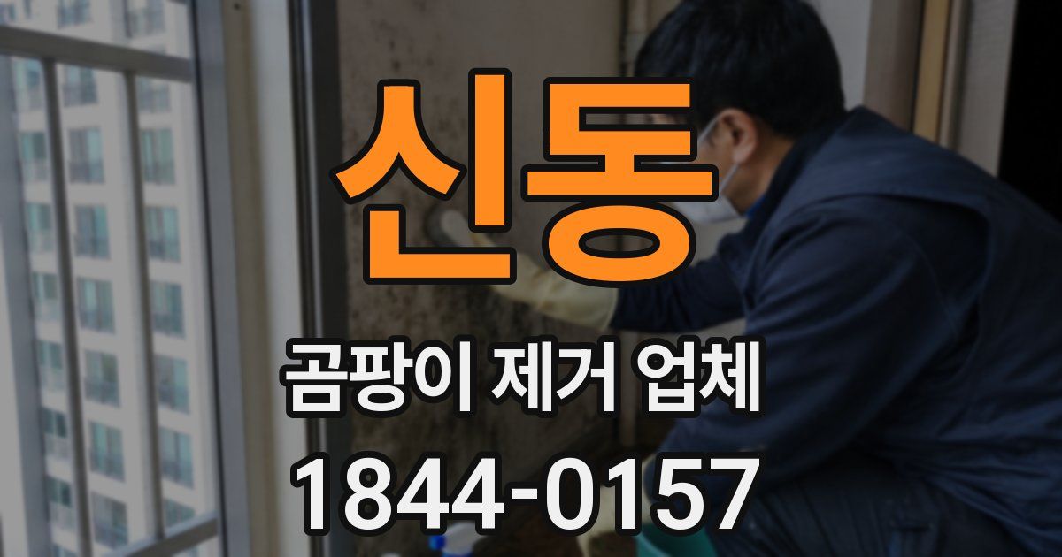 신동 곰팡이 제거 업체
