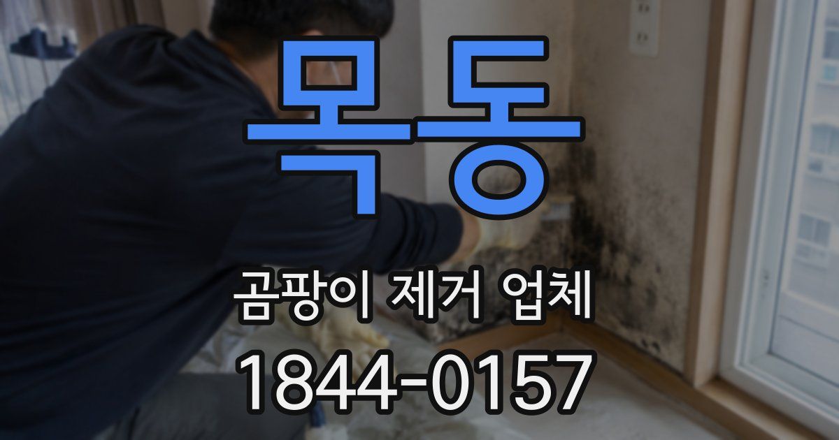 목동 곰팡이 제거 업체