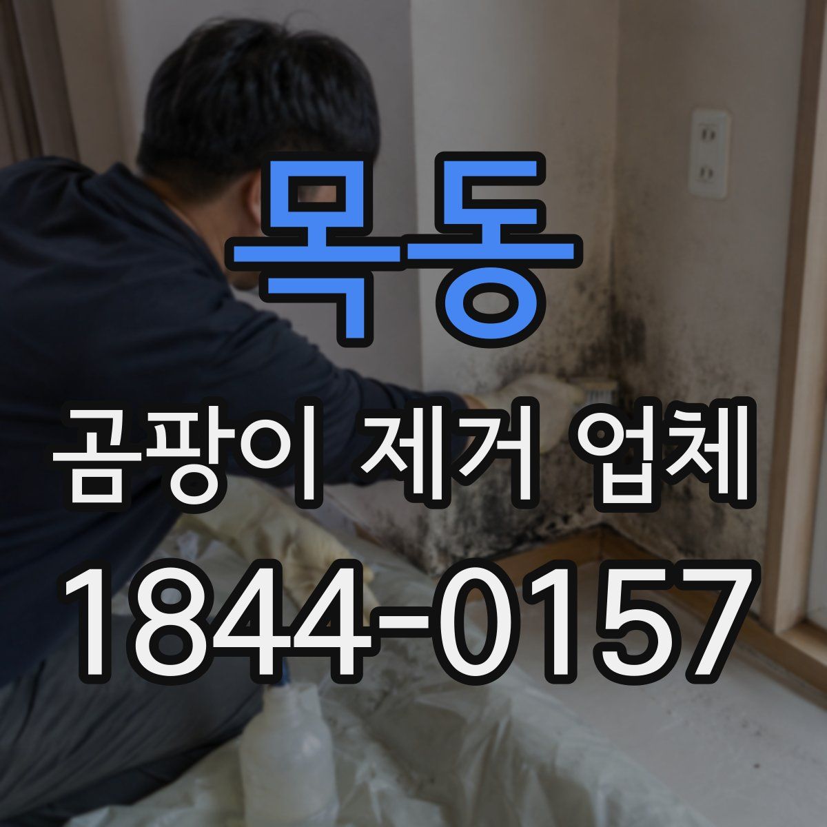 목동 곰팡이 제거 업체